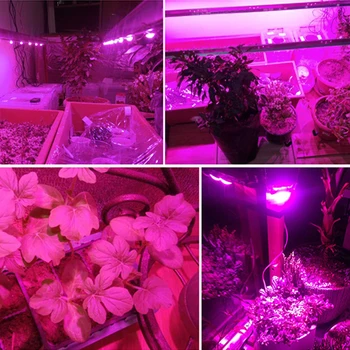 10pc 20W 30W 50W LED, COB Visą Spektrą Augalų Auga Šviesos Phytolamp Fitolampy Augti Lempos kambarinių Augalų Daigų Daržovių hydroponics