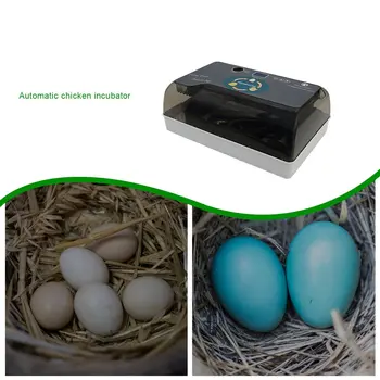 12 Kiaušinių Inkubatorius Paukščių Kiaušinių Inkubatorius, Pusiau automatinė Miniatiūriniai Kiaušinių Inkubatorius Balandžių ES/JAV/jungtinė karalystė/AS 4 Prijunkite Namų Inkubatorius