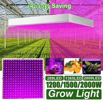1200W/1500W/2000W Auginimo Lempos, LED Grow Light Visą Spektrą Augalų Apšvietimas Fitolampy Augalai, Gėlės, Sodinukai Auginti