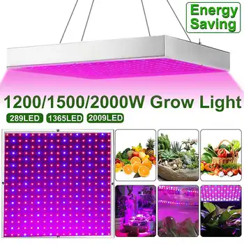 1200W/1500W/2000W Auginimo Lempos, LED Grow Light Visą Spektrą Augalų Apšvietimas Fitolampy Augalai, Gėlės, Sodinukai Auginti