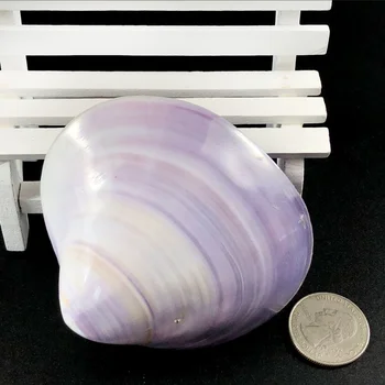 1PC 6-8cm 3D Gamtos Violetinė sea shell Beach Dekoro Seashell Žuvų bakas Akvariumas 