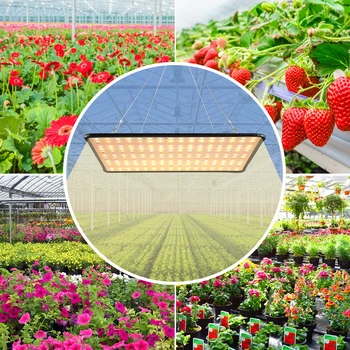 2000W LED Grow Light Fito Lempos Visą Spektrą Augalų Auginimo Lempos Šviesos Hydroponic Apšvietimas, Daržovių, Gėlių Sėklų, kambariniai Augalai