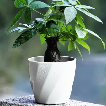 2P Mini Turas Plastiko Spalvinga Gėlių Puodą Sultingi Augalai, Kaktusai Spalvingas Plastiko Banką Namų Biuro Dekoras Sodo Reikmenys