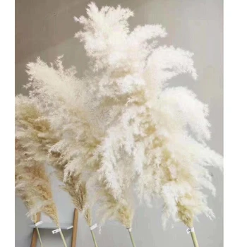 30 cm Vestuvių specialus pampos žolė dekoro didelio dydžio Pūkuotas plunksna, vestuvių gėlės, augalai, natūralus baltas džiovintos gėlės