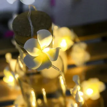 6m/3m Dirbtinis Plumeria Gėlių Led String Žibintai Pasakų Girliandą su baterijomis, Lempos Kalėdų Dekoracijas, Namo Lauko Dekoras
