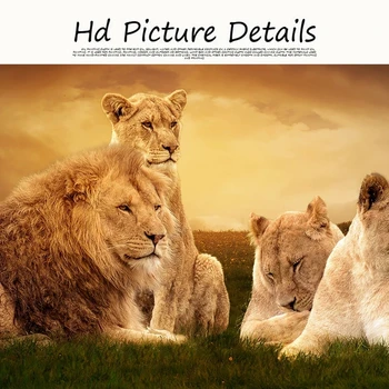 Afrikoje Liūtas ir Leopardas Laukinių Gyvūnų Tapybos Drobės Cuadros Plakatų Spausdinimo Sienos Meno Kambarį Namų Dekoro (be Rėmelio)