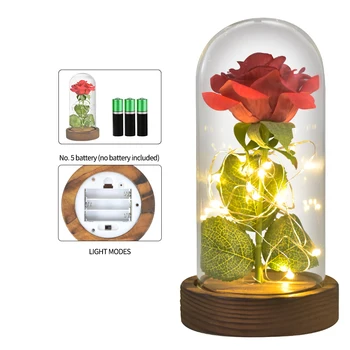 AINYROSE Dirbtinės Gėlės Su LED Šviesos Žibintas, Žvėris Rose Stiklo Kupolas, Vestuvių Valentino Dovanos Kalėdų Gimtadienis