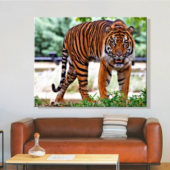 Dažų numeris meno tapybos numeriai Gyvūnų Tigras, Leopardas Realizmo Miegamojo dekoratyviniais kabo tapybos Rankų darbo Individualų