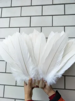 Didmeninė gražus, 10vnt panika Gamtos didelis baltas erelis uodegos plunksnos, 40-45cm/16-18inch Dekoratyvinis 