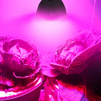 E27/E14/SMD GU10 8W 18 led Augalų augimo lempa Raudona Mėlyna Led Auginimo Lempa Hydroponics Gėlės, Augalai, Daržovės