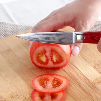 FINDKING Prekės damasko peilis 3.5 colių skutimo peilis spalvų medinių damasko plieno virtuvės peiliai vaisių peilis