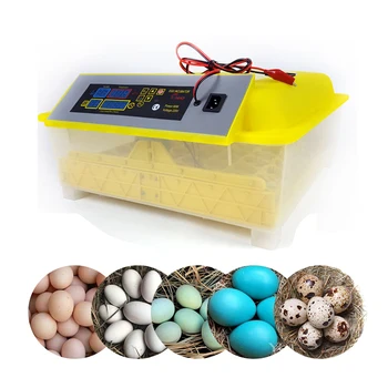 HHD 48 kiaušinių inkubatorius pilnai automatinis Ūkio Temperatūros Ekranas Naminiai paukščiai, perinti skirti machiner Vištienos putpelių brooder nemokamas pristatymas
