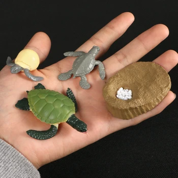 Imitavimo Veiksmų Skaičiai Gyvūnų Evoliucijos Modelius, Jūros vėžlių Vėžlio Gyvenimo Ciklo plastikiniai Modelis Gyvūnų Augimo Ciklą Vaikams, Žaislai