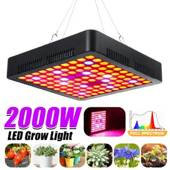 KiWarm 2000W Auginimo Lempos, LED Grow Light Visą Spektrą efektą Sukeliančių Patalpų Hydroponic Augalų Sodinukai, Gėlių High Yield