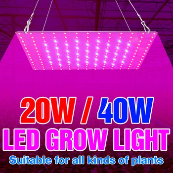 LED Augalų Lempos Augalams Gėlė Auga LED Lempa 20W 40W Hydroponics Sistemos Augimą Lauke LED Full spectrum Daigų Fito Lempa 220V