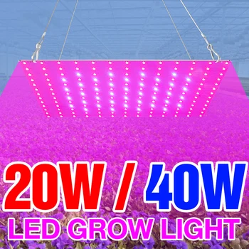 LED Grow Light 20W 40W Fito Lempos 220V LED Augalų Augimo Lempos Visą Spektrą Augalų Apšvietimas Kambarinė Gėlė Auga Lauke ES Plug