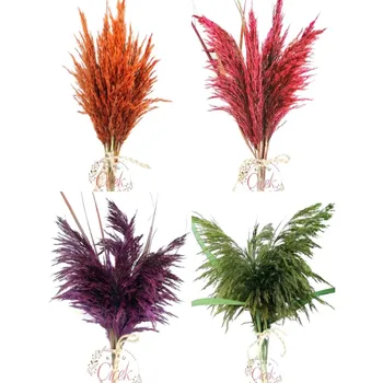 Nekilnojamojo pampas Natūralių Džiovintų Pampos Žolė Phragmites Communis,Vestuvių Gėlių Krūva 40-50 cm Ūgio Namų Dekoro Vardinė džiovintos gėlės
