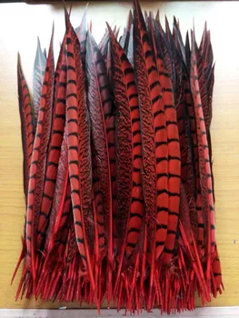 Nemokamas pristatymas parduoda aukštos kokybės raudona 50pcs Lady Amherst Fazanų plunksnos, 12-14 