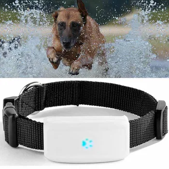 TKSTAR gps vandeniui šuns, augintinio apykaklės gps tracker TK911 5 Dienų Laukimo Geo-tvoros Mini GPS Seklys Katė GPS Apykaklės Balso Skambučių