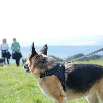 Šuns Pakinktai POLICIJOS K9 Apykaklės Ilgis Reguliuojamas Žingsnis Pėsčiomis Pet Diržų komplektai Vidutinis Didelis Šunys